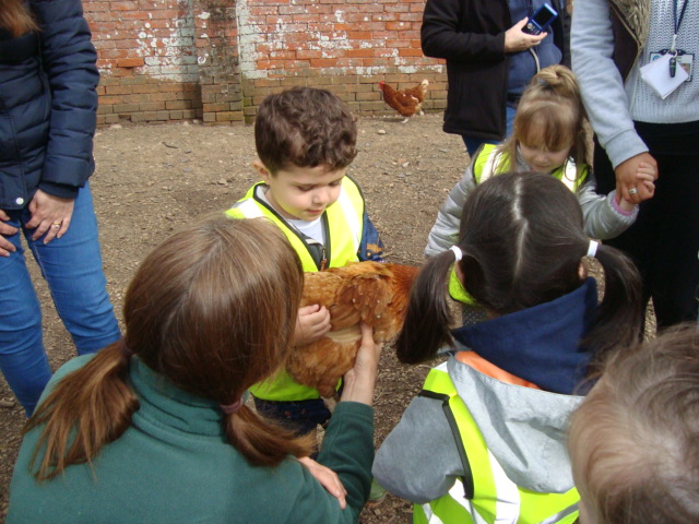 Down on the farm!